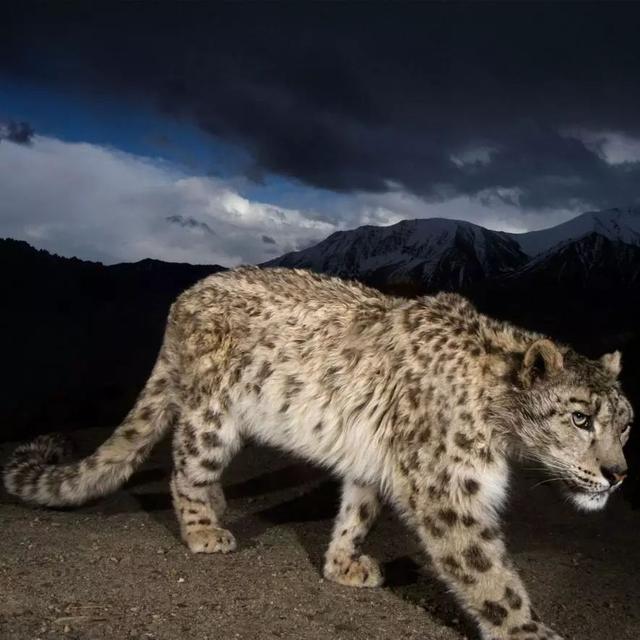 53f40001ef35b5378041