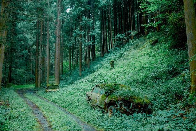 593300055ce9f9e52995