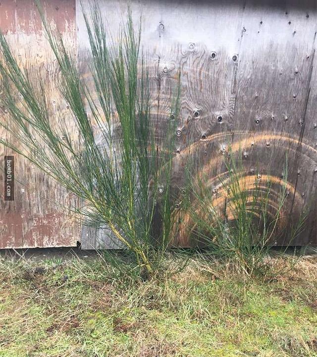 28920003502ca62af80f