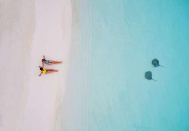 593c0000b95a32c1cd36