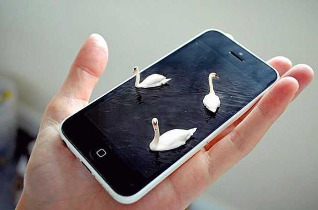 5e870005a13c561409cb