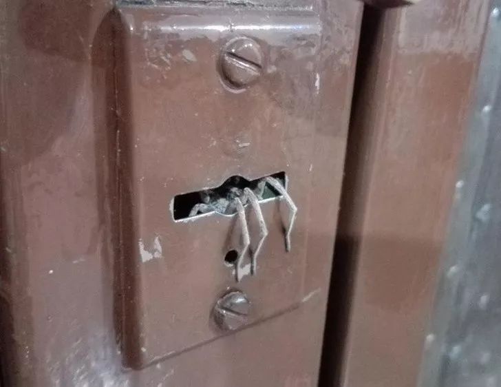 15255317548833981a01584