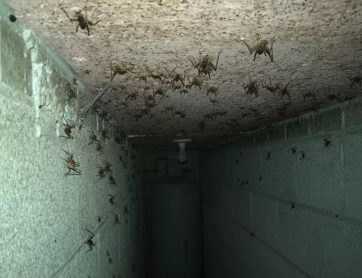 152553175507909bee55363