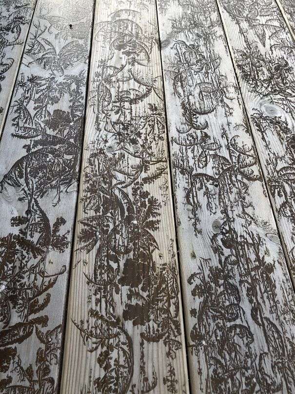 15251761352400c22576465