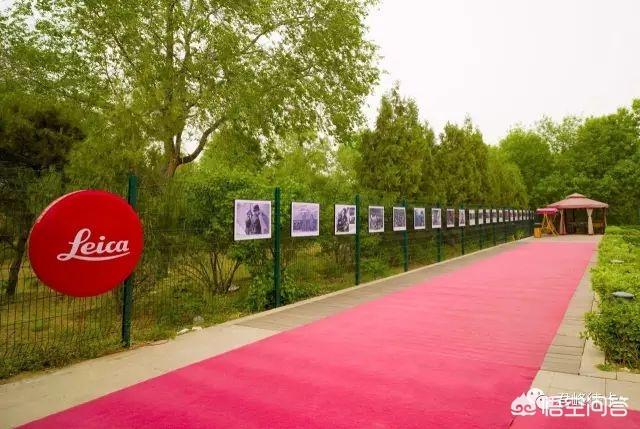 6c2b000351fc471bd02f