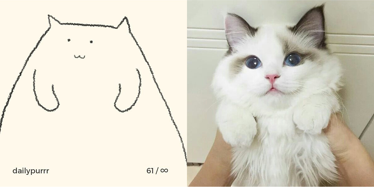 1526029948069b05004652c