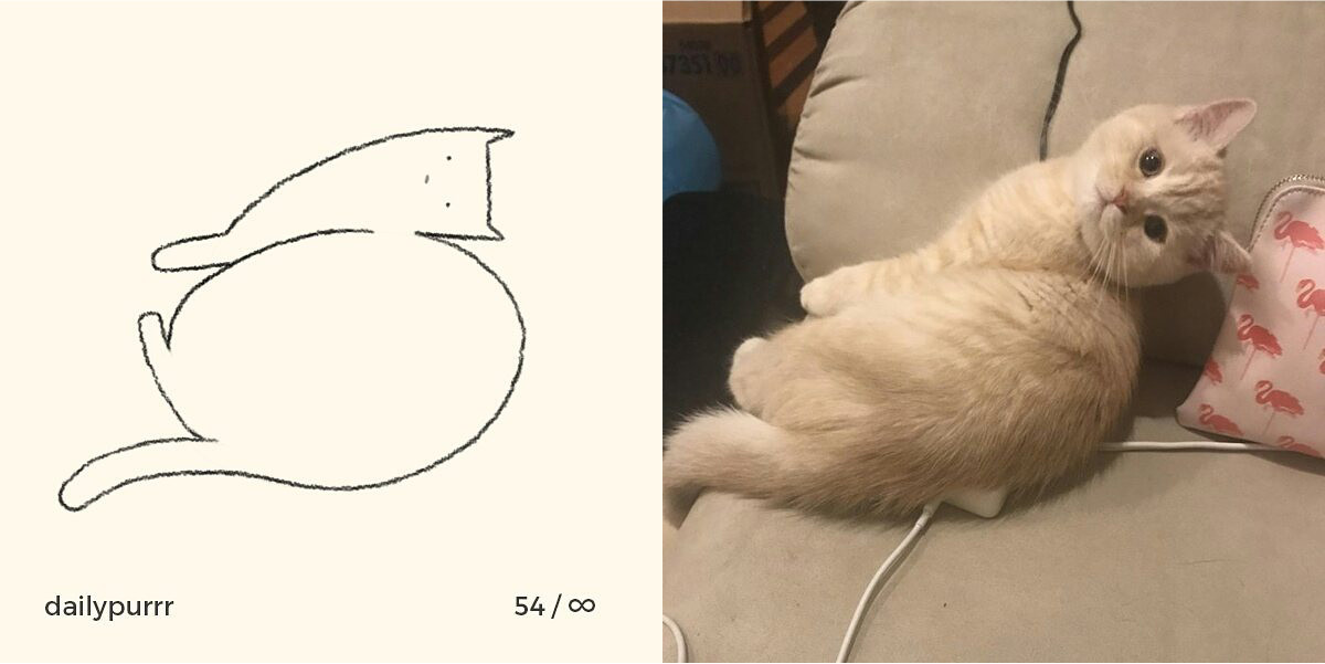 1526029948542fdc3335318