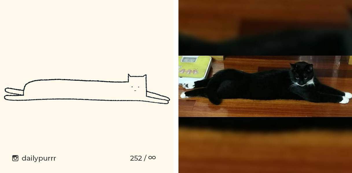 1526029948510d9c05cb7cd