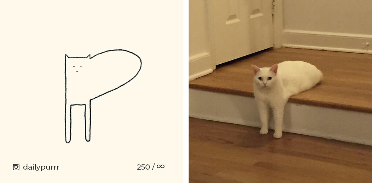 1526029948984965d125615