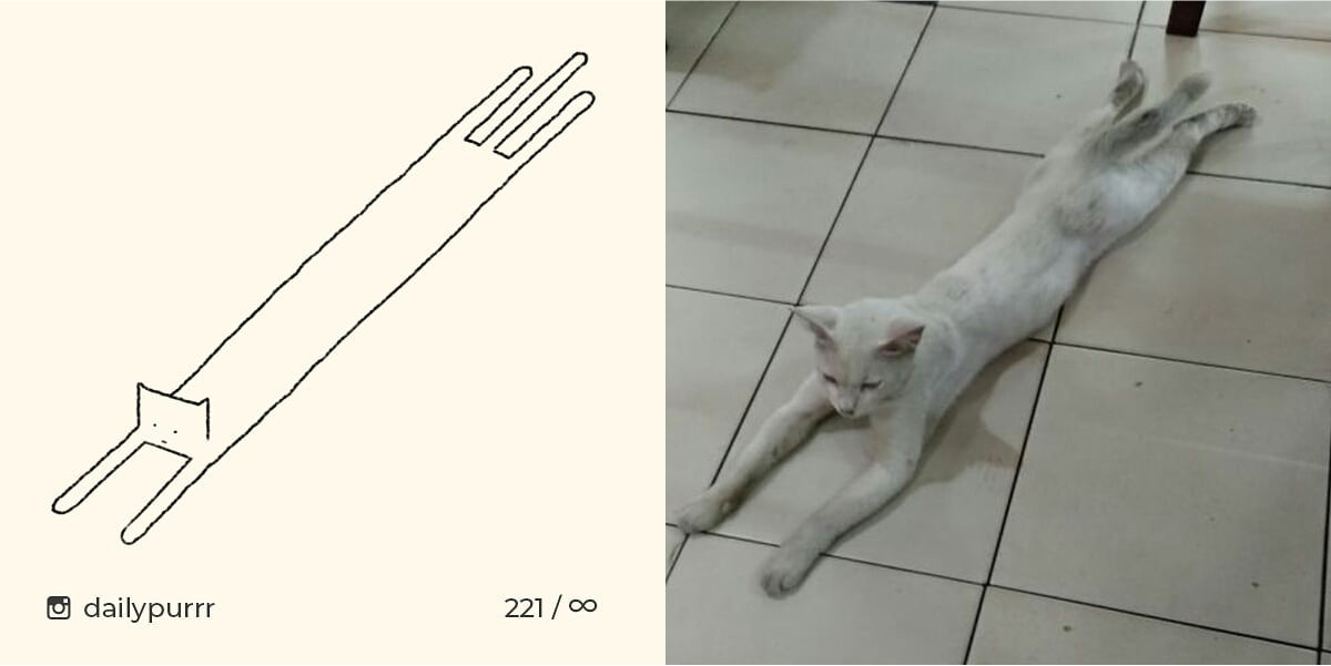 15260299493939cfd2fb9de