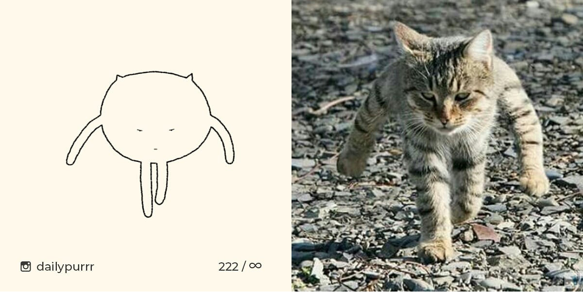 152602994938275c01537d1