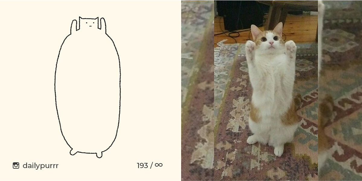 1526029949683ecbf7ef23f