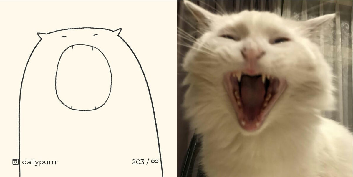 15260299501723d298a8ba3