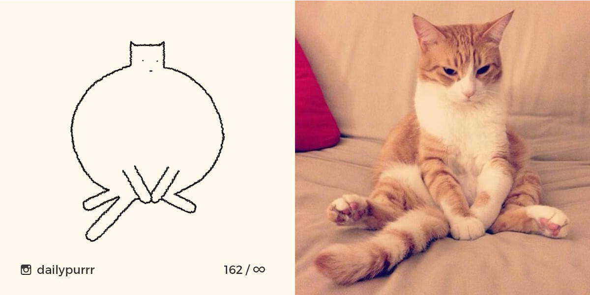 1526029950149714c52a13c