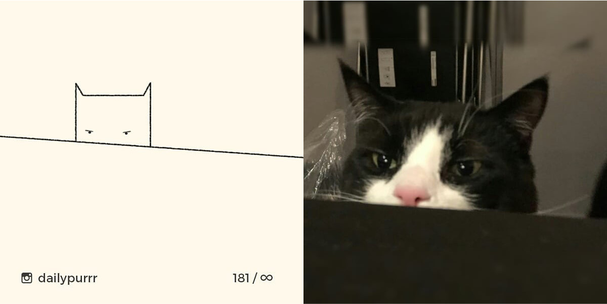 1526029950558ab0caa5c1b