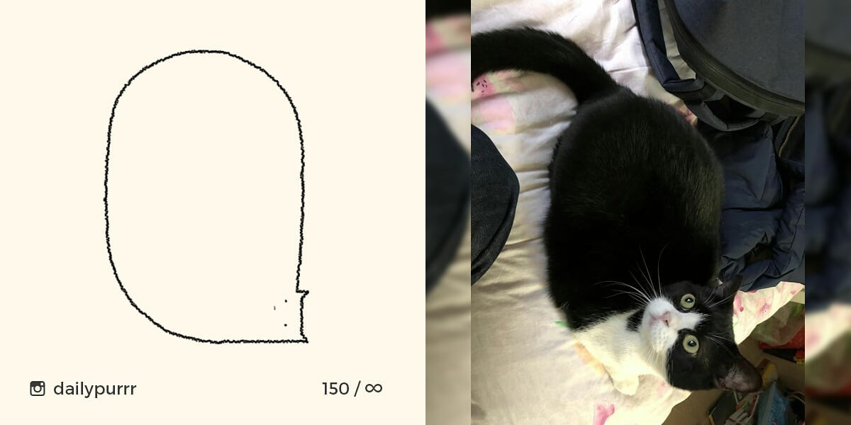 1526029950546d60baab50b