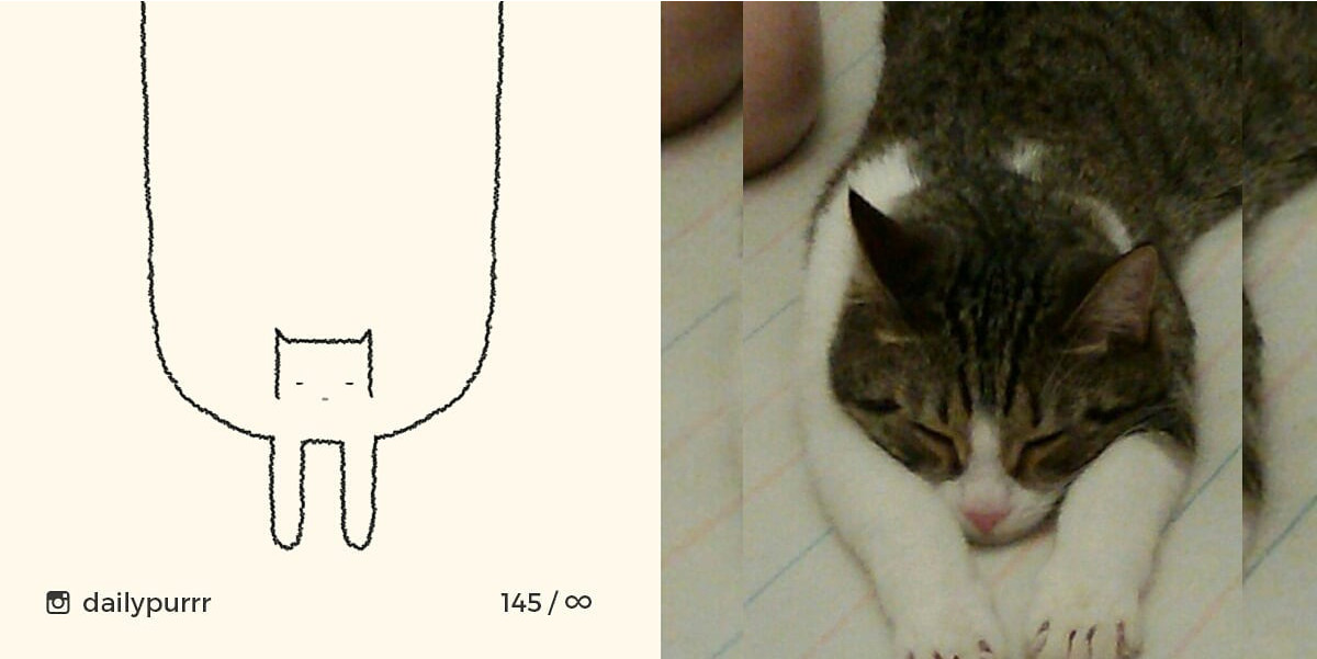 152602995096142cb33e2bb