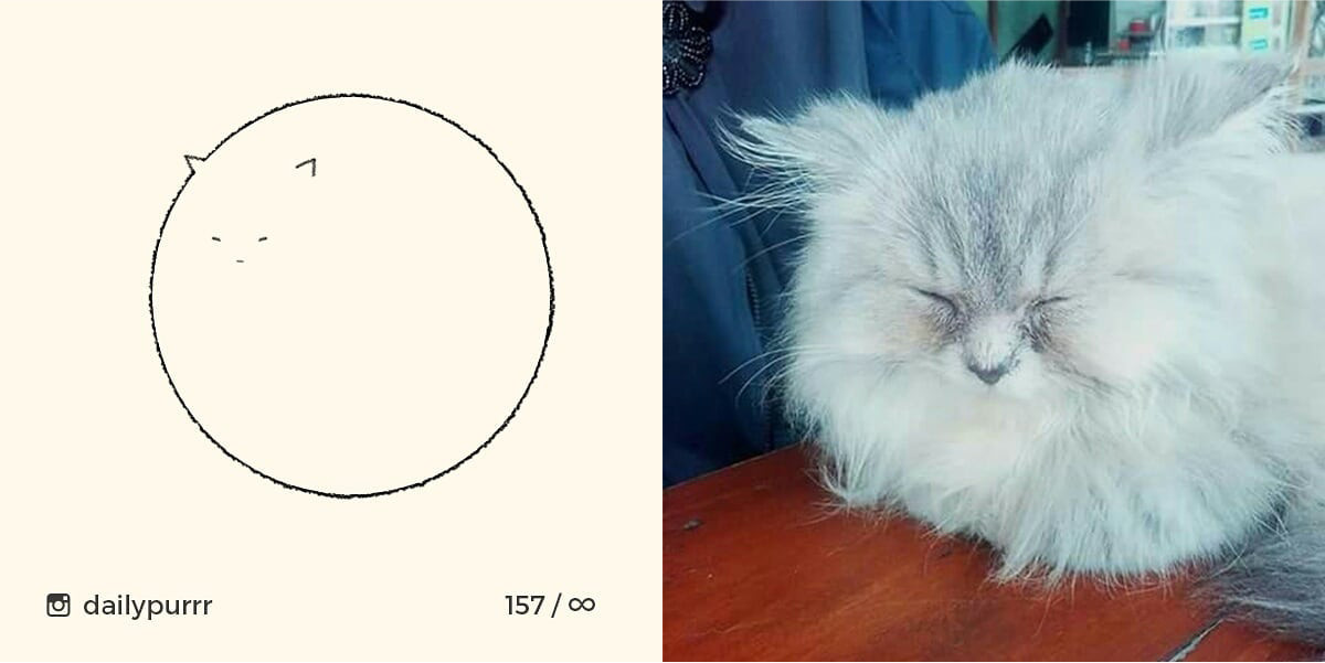 1526029951014aab43e96a5