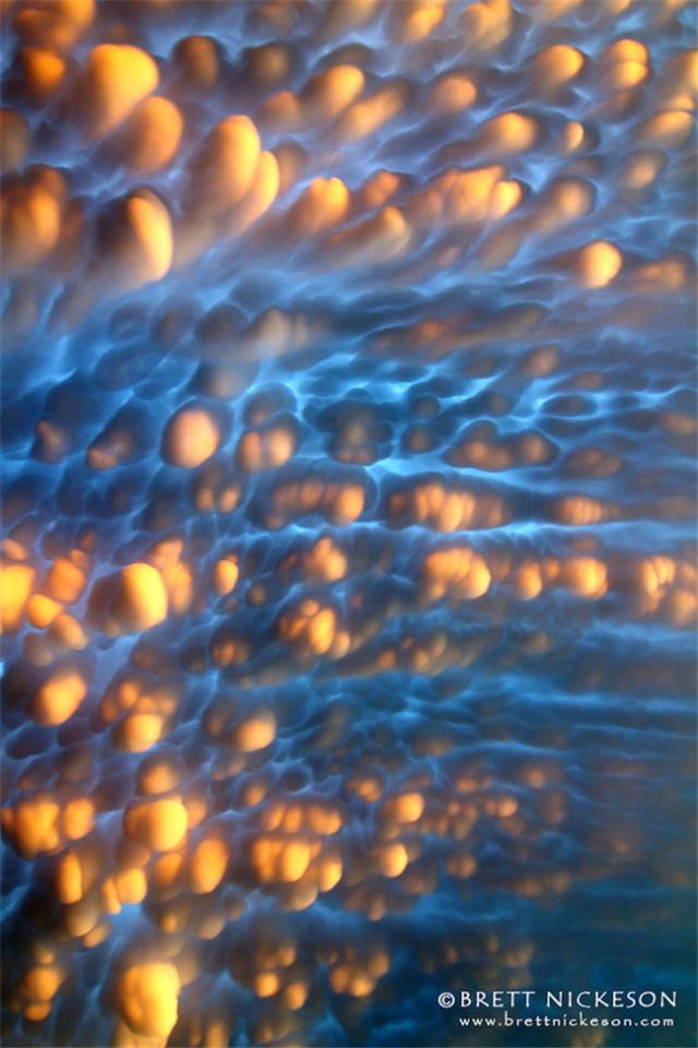 50ad0003f4e447e64250