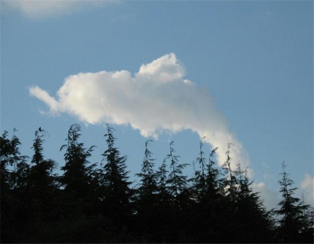 53e500006a1291071d5e