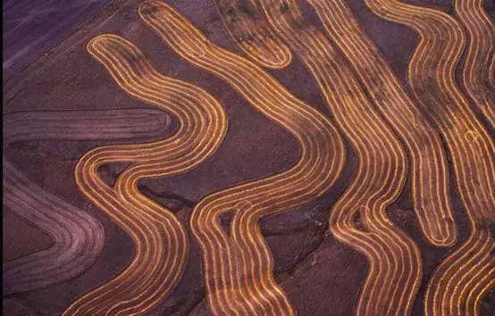 50aa00034ae6979a61aa