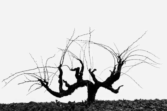 50aa00034ae7c57151e9