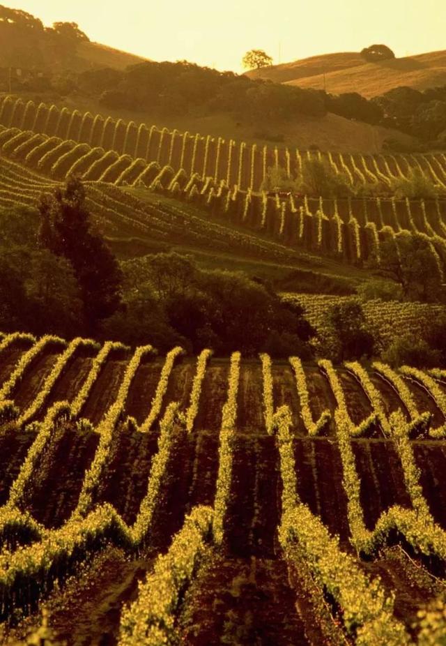 50a80003a6b2f819c2e3