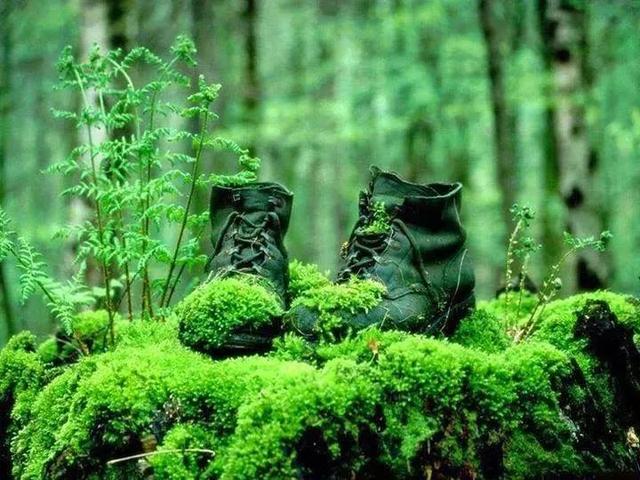 50ab00016e0ec109b4b6