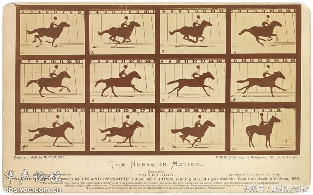 1527039784387646715947d