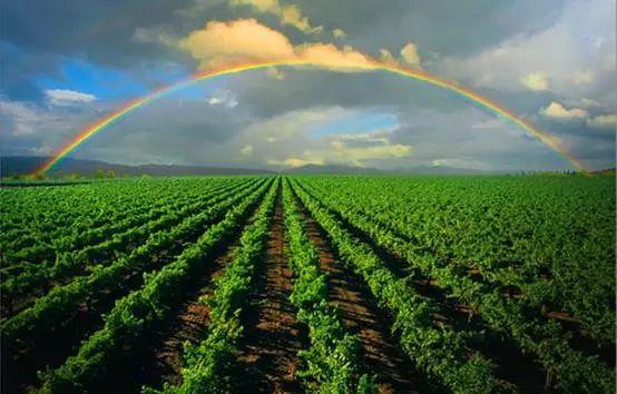 50a9000353e4551f8190