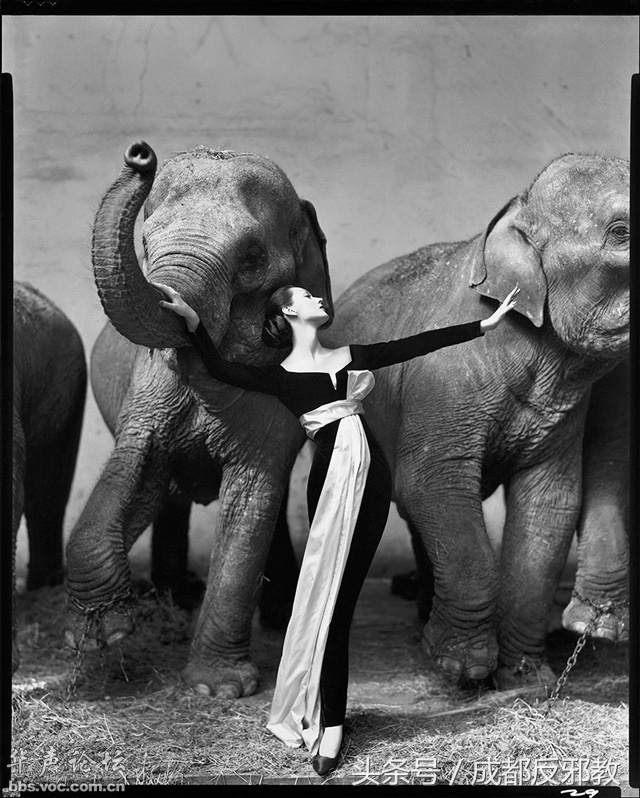 1527039840196fef4f8830c