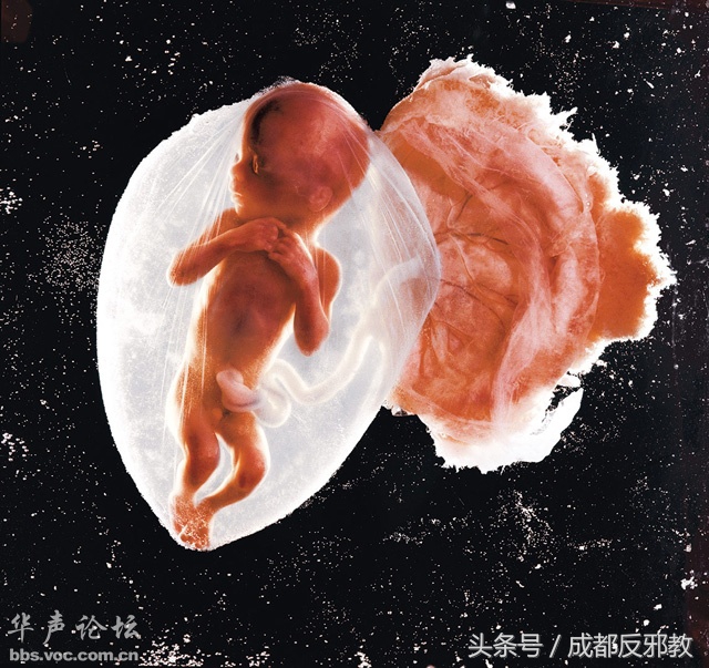 1527039847155eb7a39f5c6