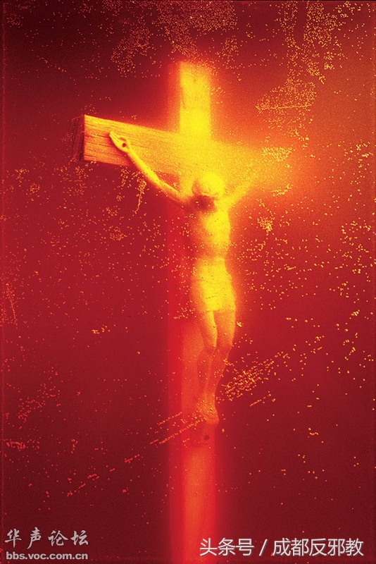 15270398556884caed691ea