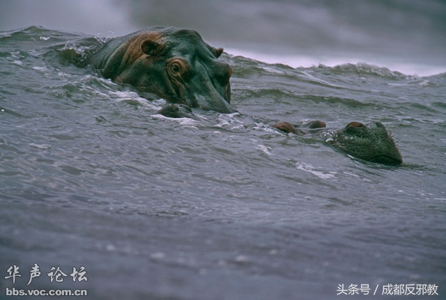 15270398593396bd8890dd8