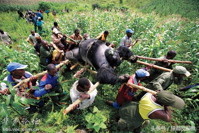 1527039861199a8b931cd83