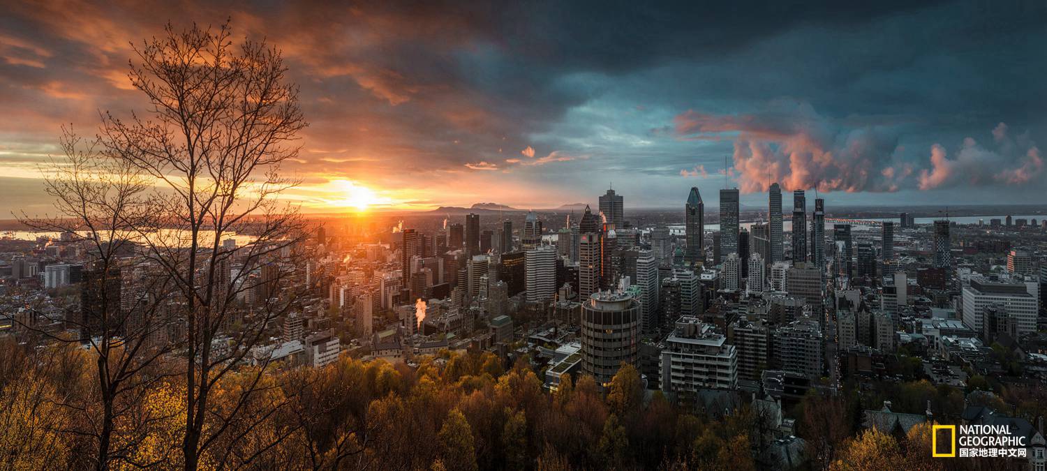 1526624139887cce140a20a