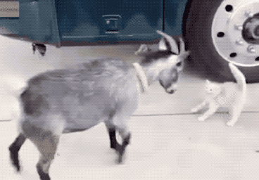 1526220915570e2efb0ab67