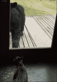 152622091554321fb08bad8