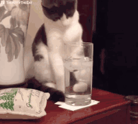 1526220916898b0ed5b249d