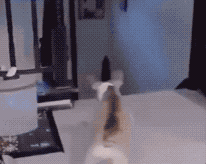 1526220918279e8c45cde41