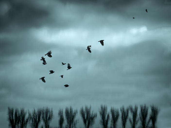 152634509049607d3747fbd