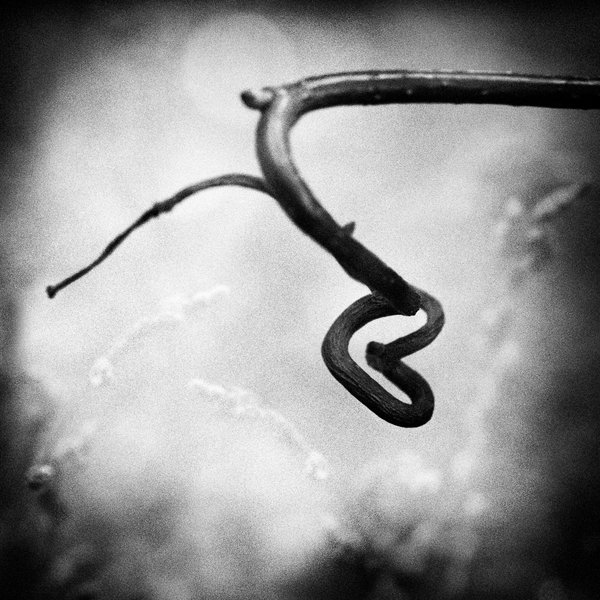 15263450893642247dfea9d