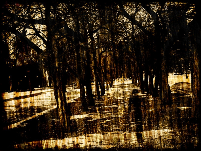 15263451151877c1d9a94b8