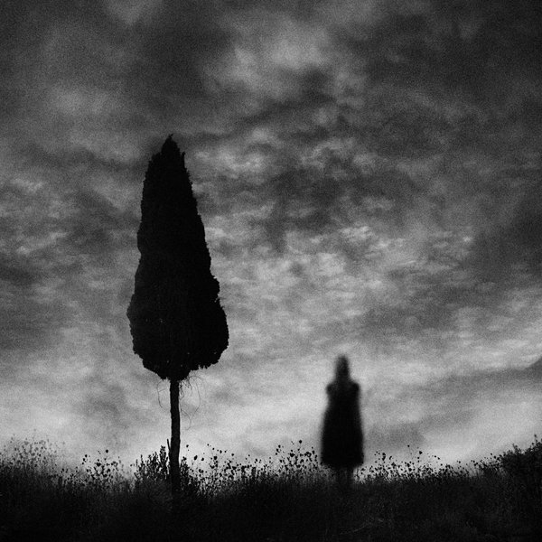 1526345105625da1719380b