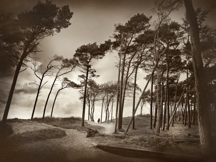 15263451222154f4c417841