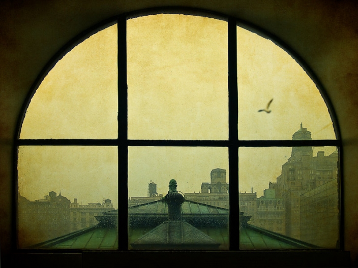 1526345121694e5109eefd9