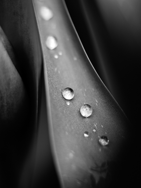 1526345138926cbb26bee1d