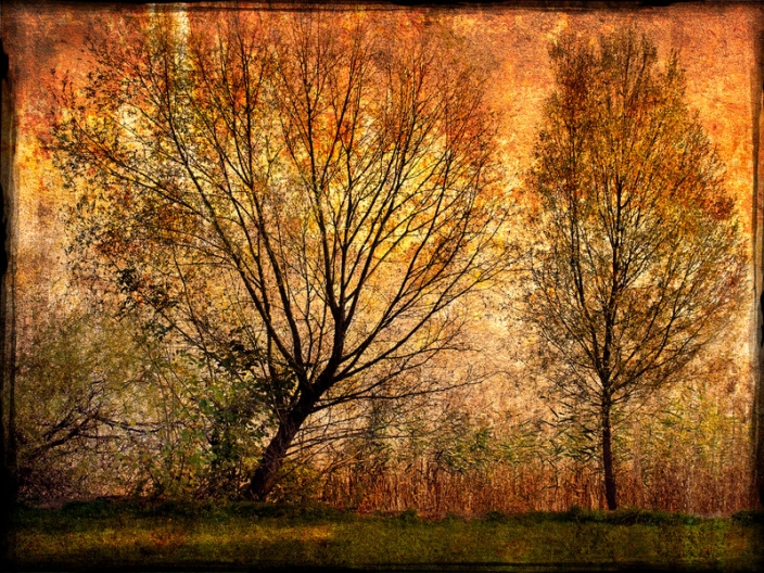 15263451652102a0f3e6174