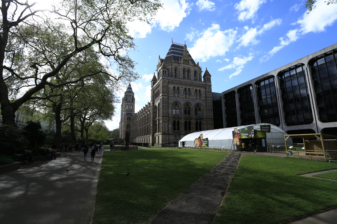 15266095038909730cea4dc