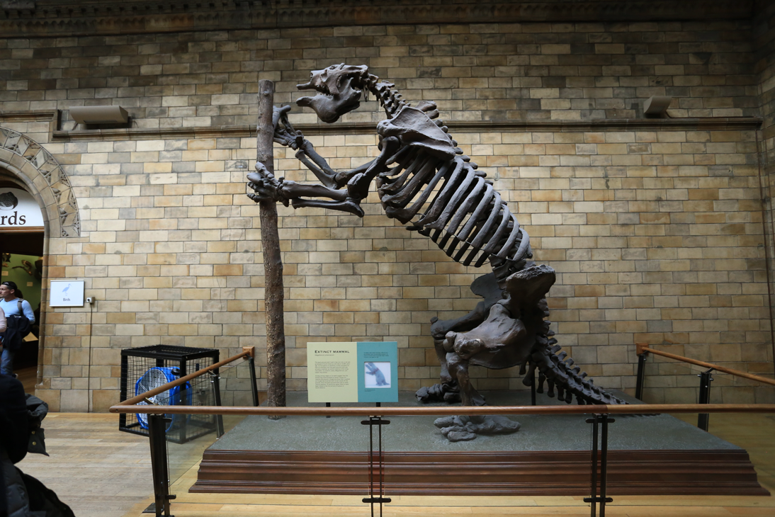 15266094998500c56dd1fdd